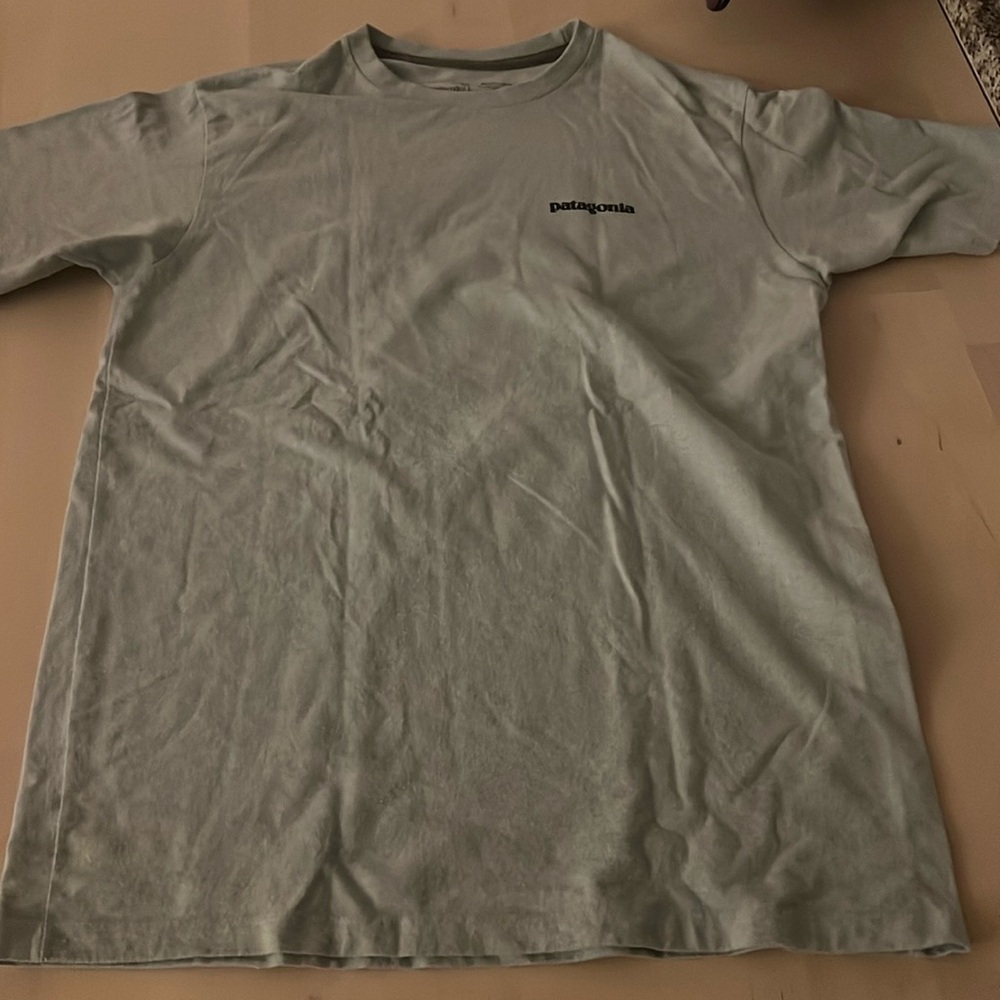 Patagonia P6 logo tee in light blue
